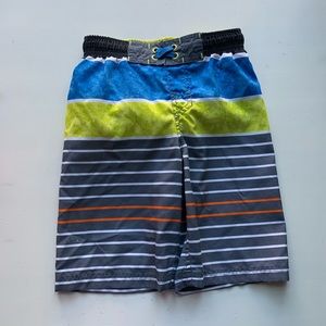 Stripped Swim Trunks